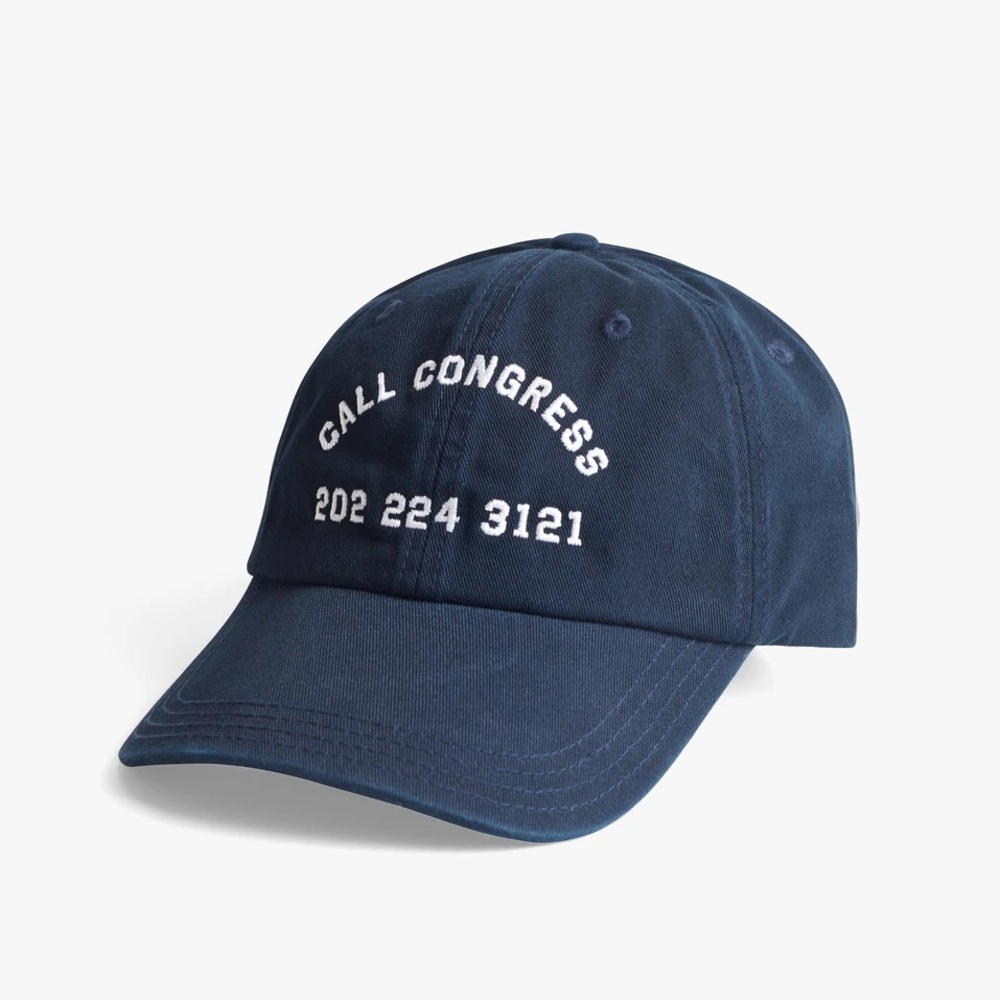Crooked Media “Call Congress” embroidered hat